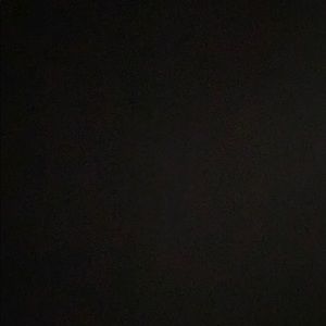 Meet your Posher, Leonard